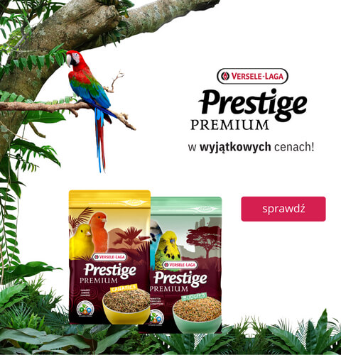 Promocja Versele-Laga Prestige karma dla kanarka i papuzek falistych 800g